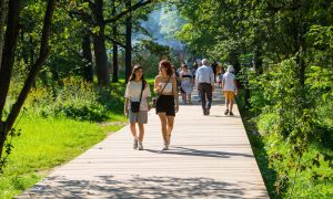 Прогулка на природе с друзьями