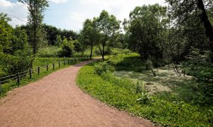 Лето в парке