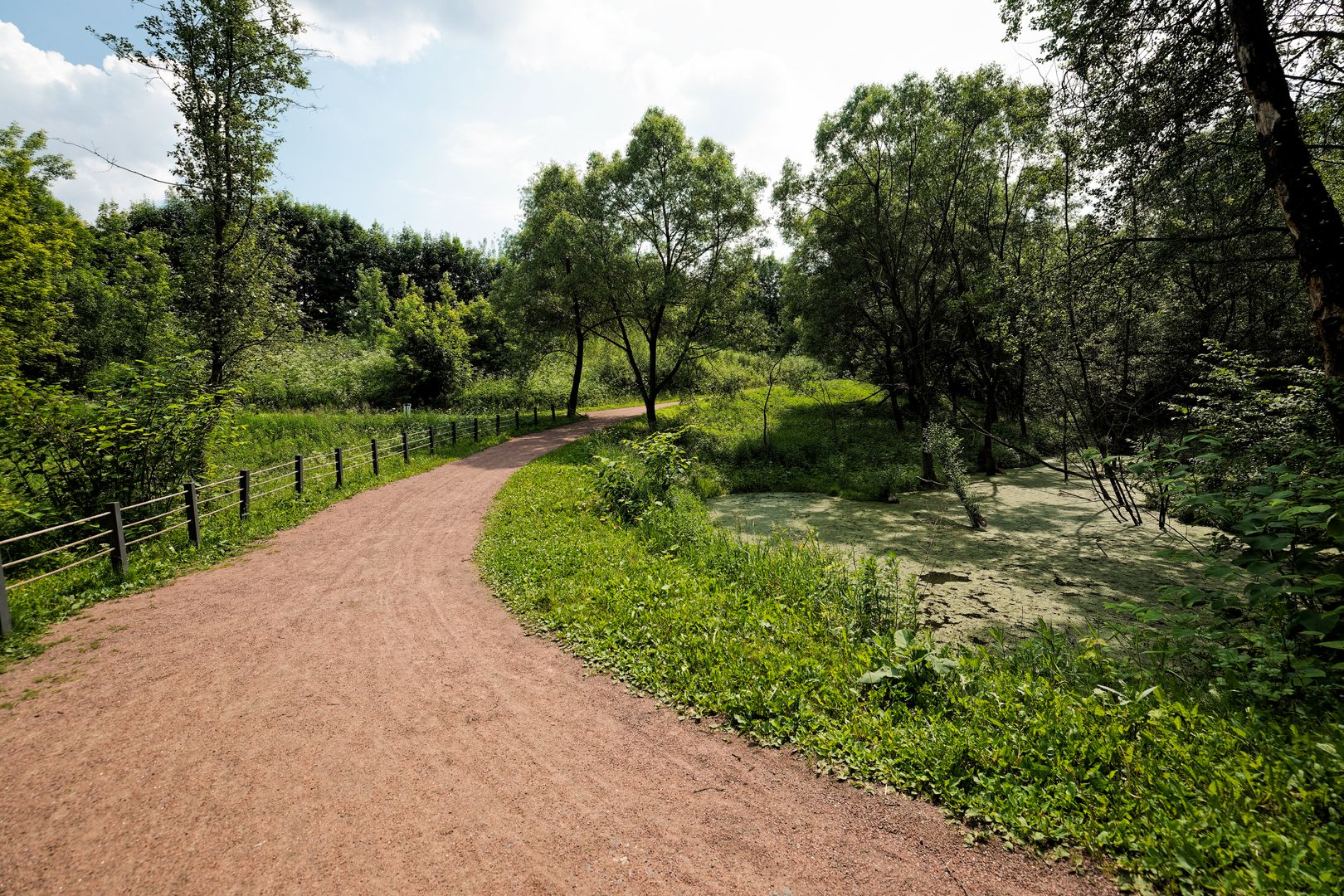 Лето в парке