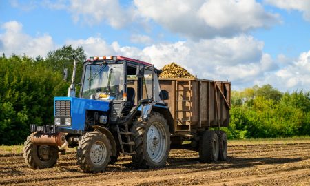 Трактор собирает урожай