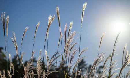 Хорошая солнечная погода