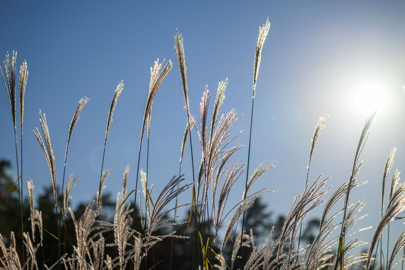 Теплая и солнечная погода