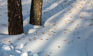 В конце марта лежит снег