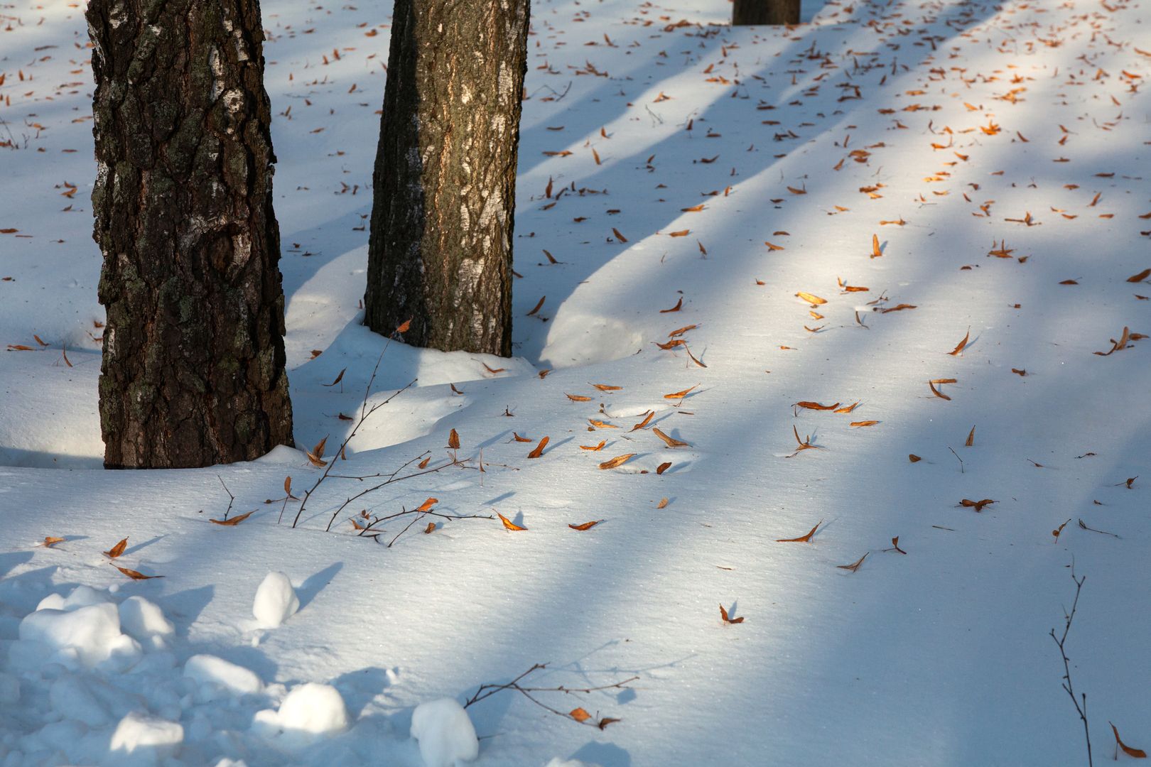 В конце марта лежит снег
