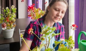 Женщина садовник