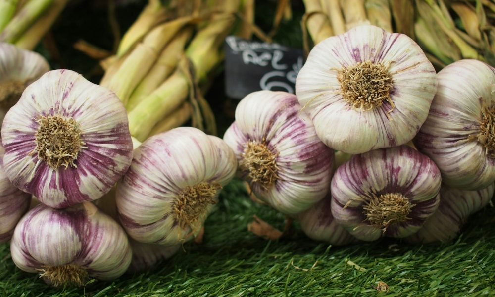 Озимый чеснок