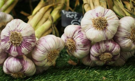 Озимый чеснок