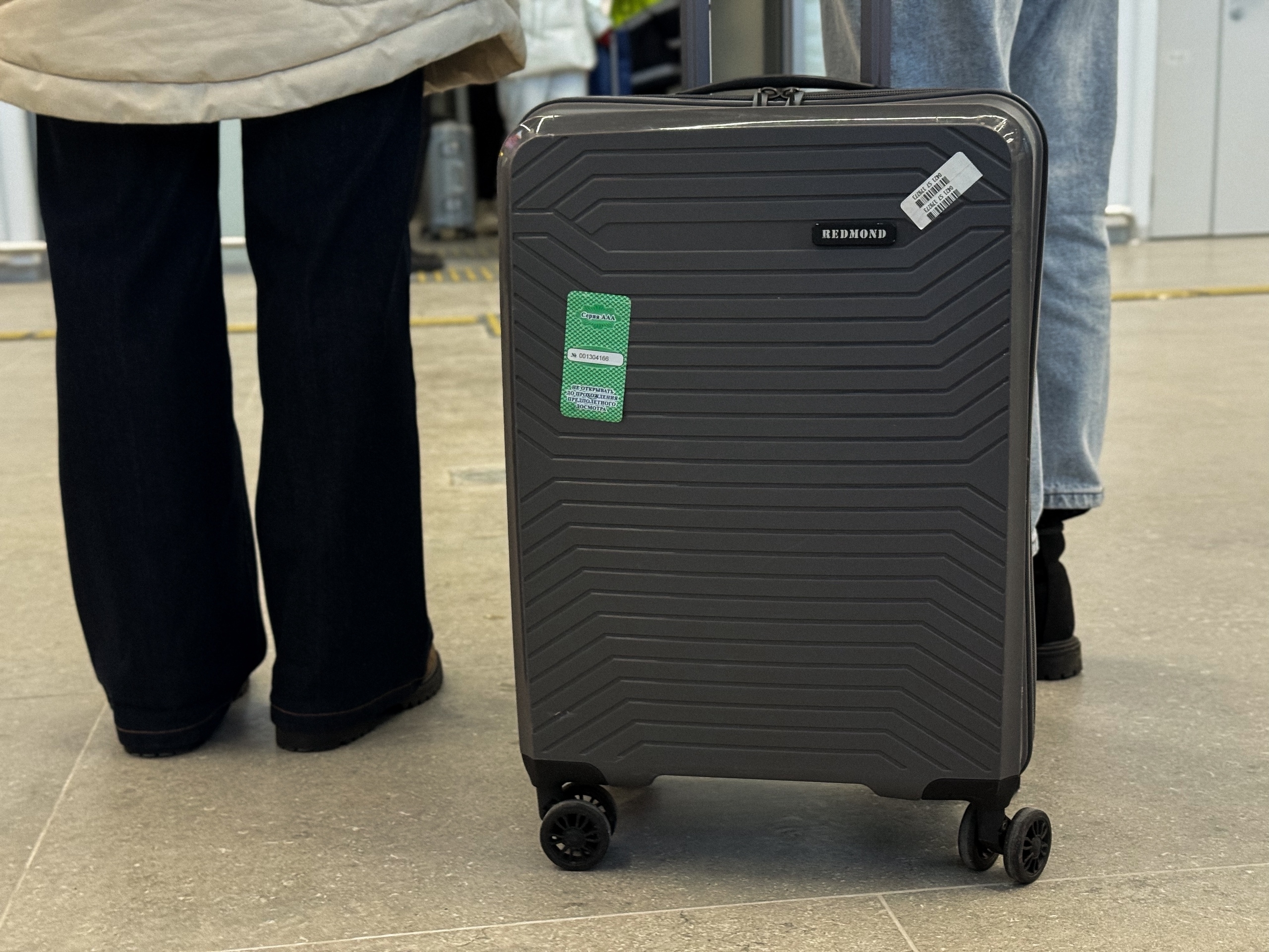 Люди около чемодана