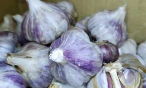 В коробке лежит чеснок