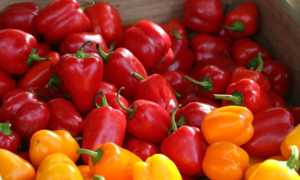 урожай из перцев
