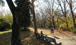 Дендропарк в Екатеринбурге