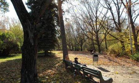 Дендропарк в Екатеринбурге