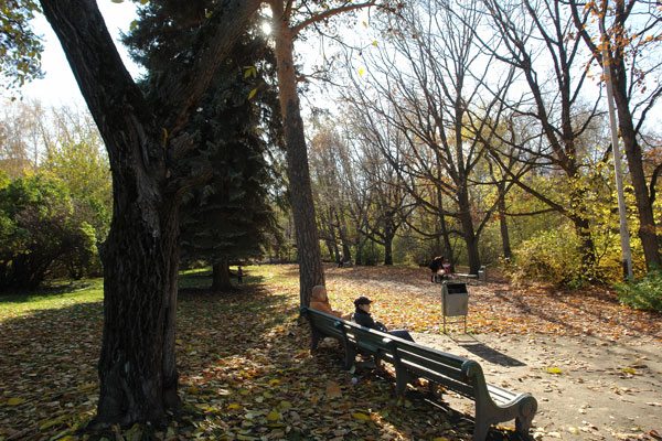 Дендропарк в Екатеринбурге