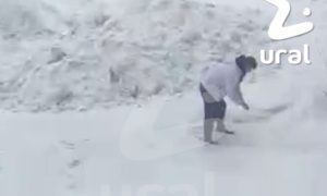 Догхантер разливает яд