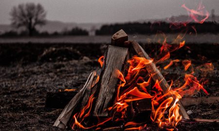 На природе горит костер