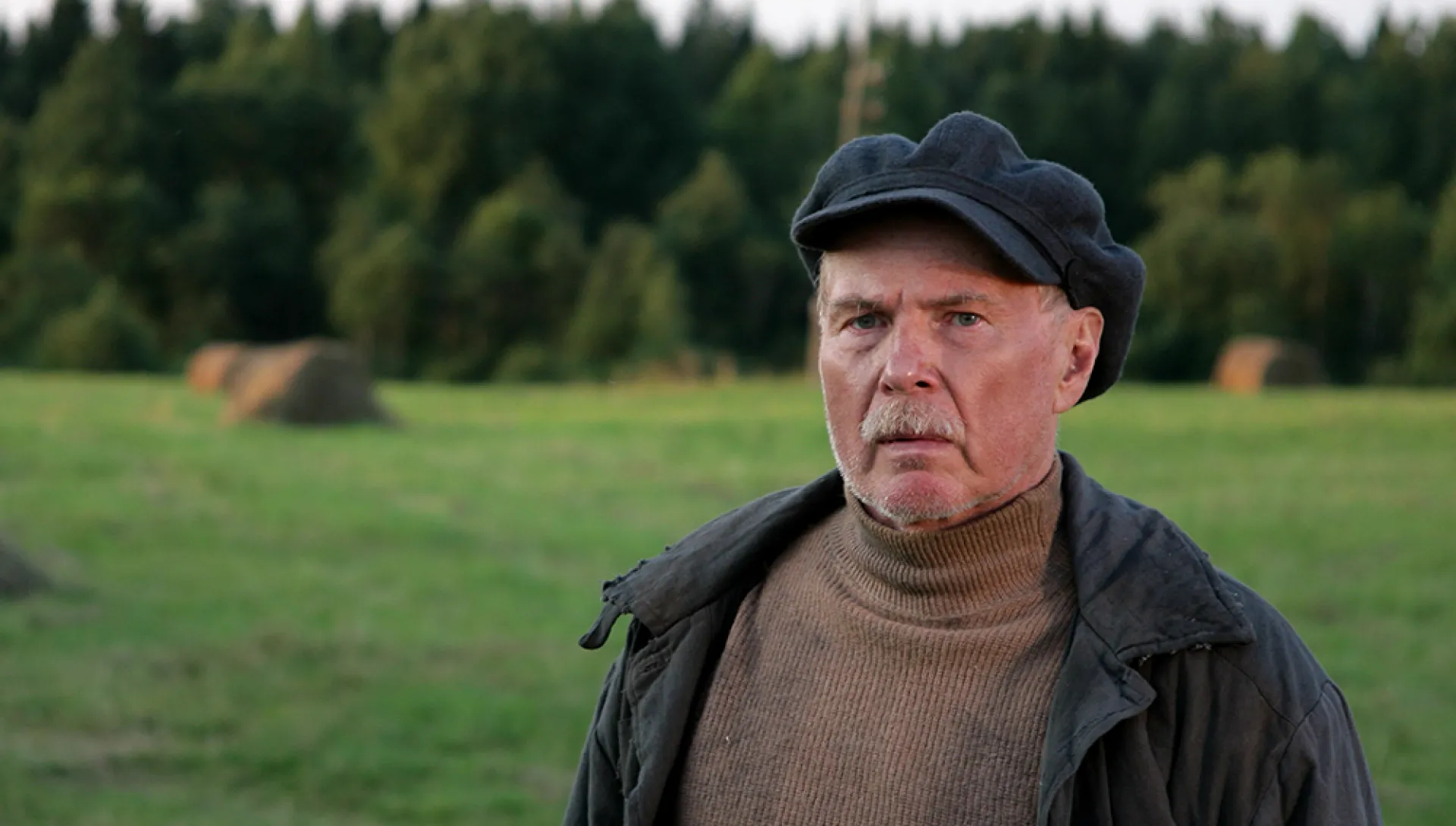 Актёр Владимир Гостюхин