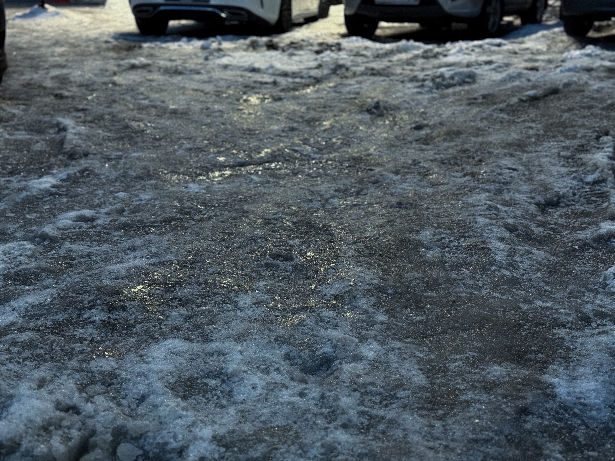 Сильная гололедица на дорогах