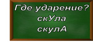 ударение в слове скула
