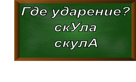 ударение в слове скула