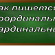 правописание слова кардинальный