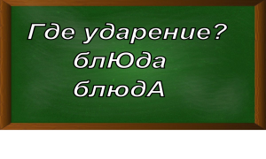 ударение в слове блюда