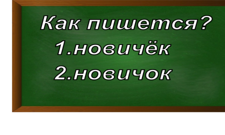 правописание слова новичок