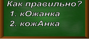 ударение в слове кожанка