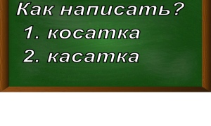 правописание слова косатка/касатка
