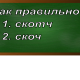 правописание слова скотч