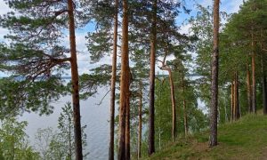 Исетская набережная