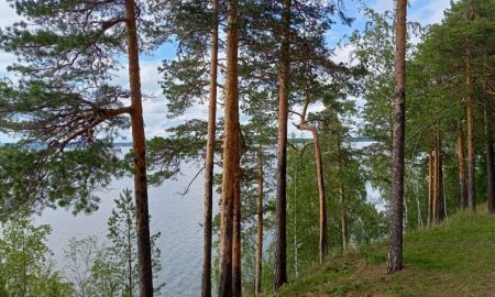 Исетская набережная