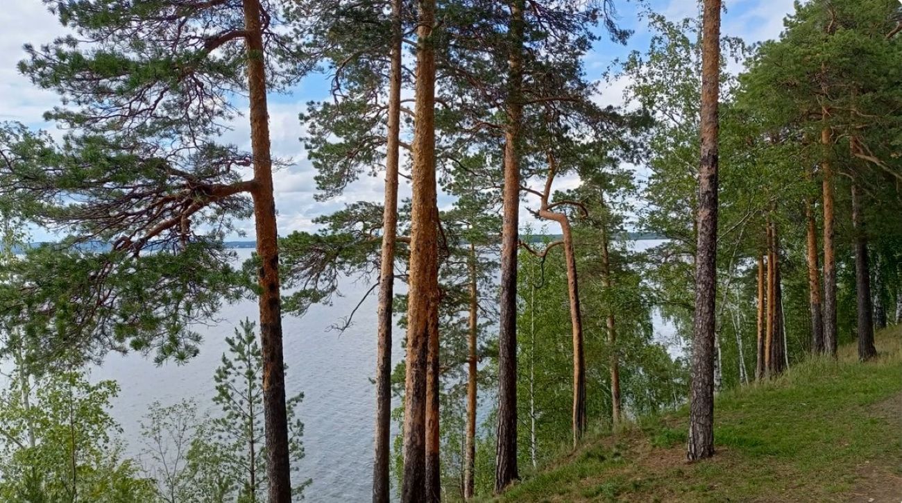 Исетская набережная