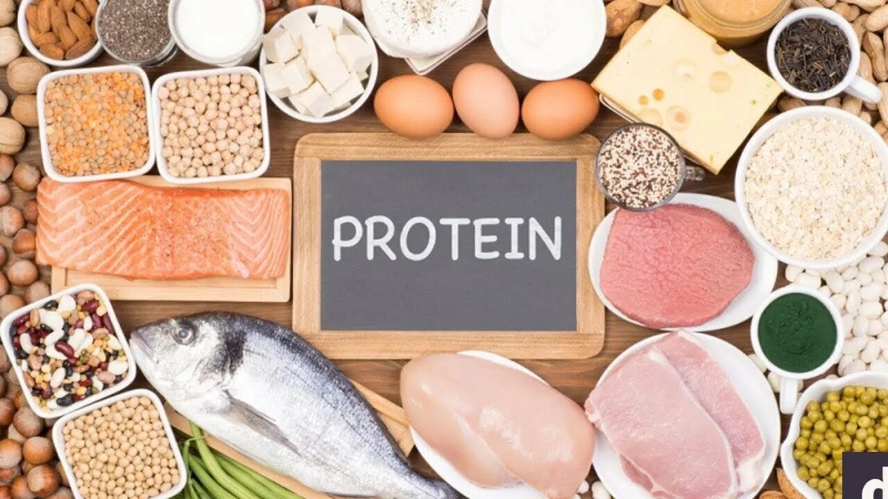 еда, богатая белком