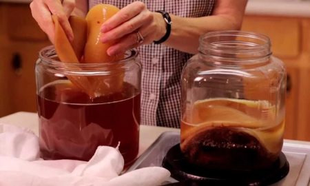 чайный гриб