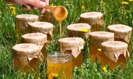 мёд на траве