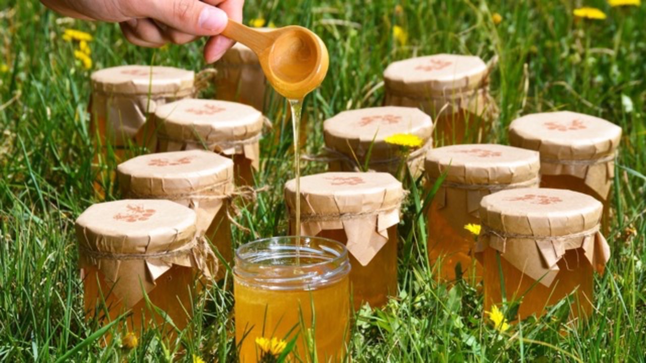 мёд на траве