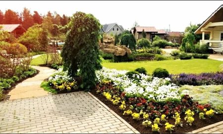 дачный участок