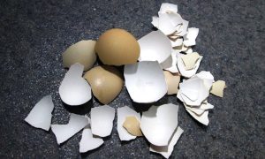 яичная скорлупа