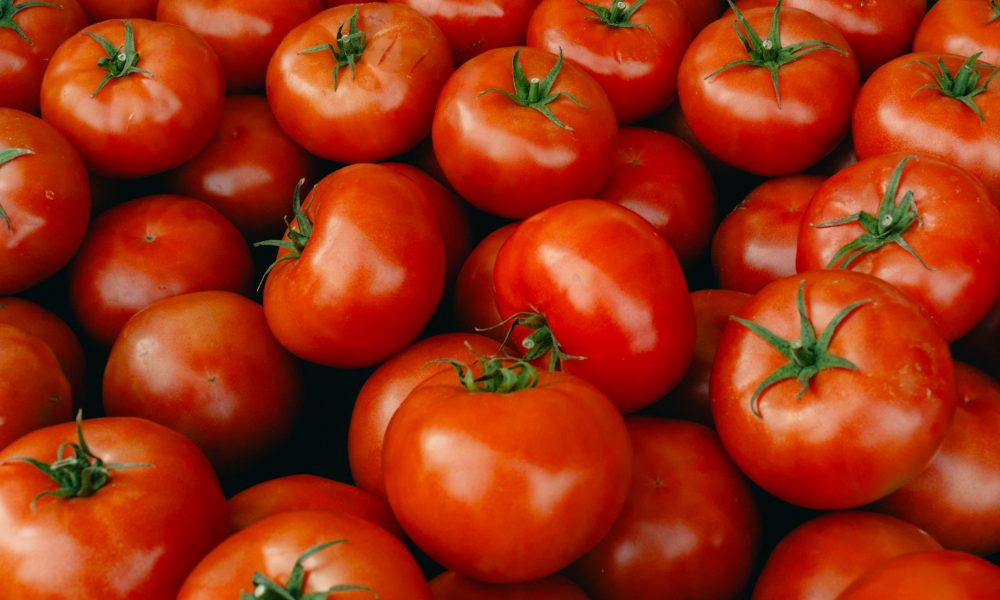 Урожай помидоров