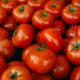 Урожай помидоров