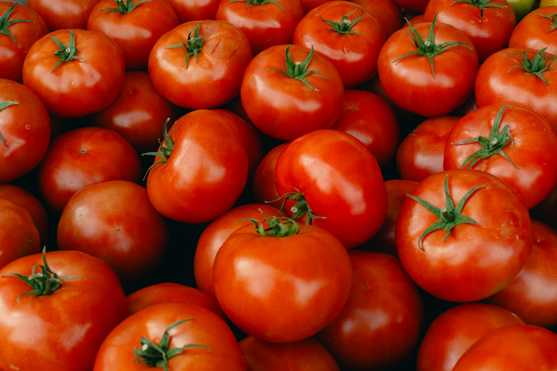 Урожай помидоров