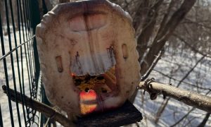 Кормушка в парке Маяковского