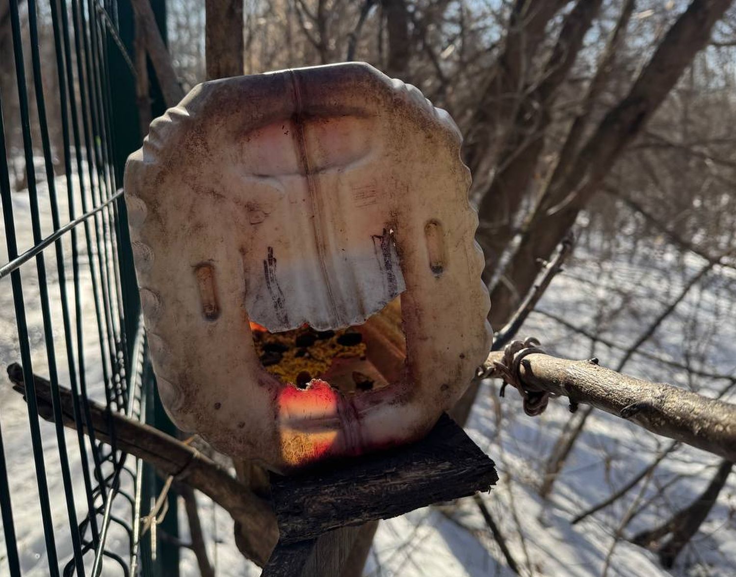 Кормушка в парке Маяковского