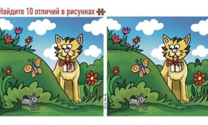 Кот охотится за мышью