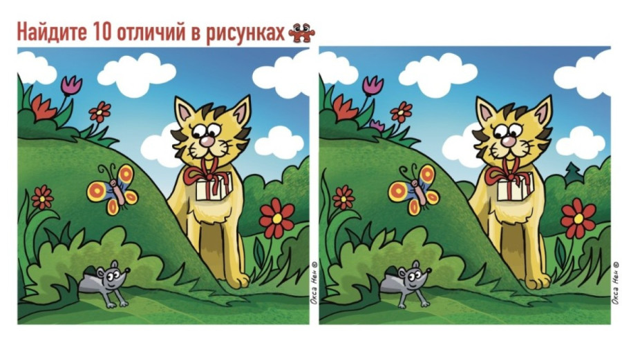 Кот охотится за мышью