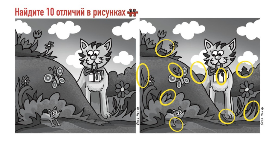 Кот охотится за мышью