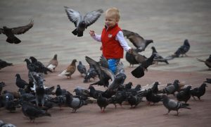 Мальчик гоняет голубей в парке.