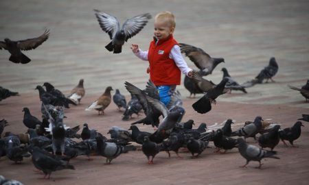 Мальчик гоняет голубей в парке.