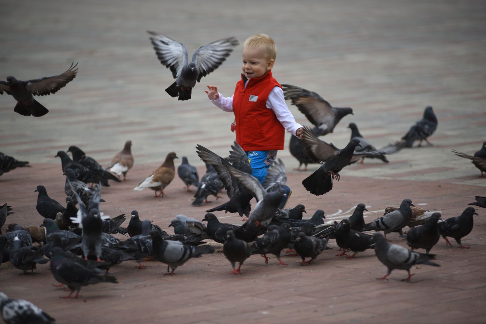 Мальчик гоняет голубей в парке.