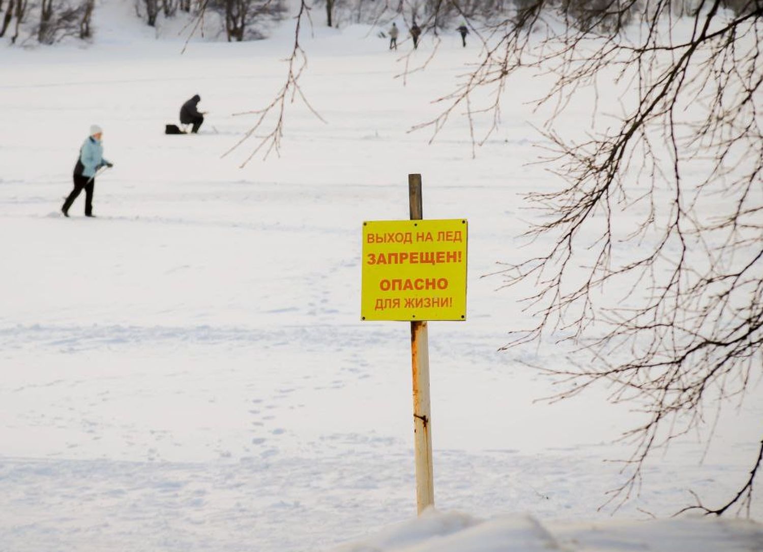 Люди на замерзшем пруду